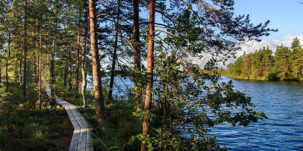 Explore Estonia