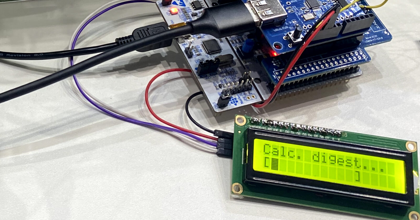 Secure Firmware Updaters on STM32 MCUs